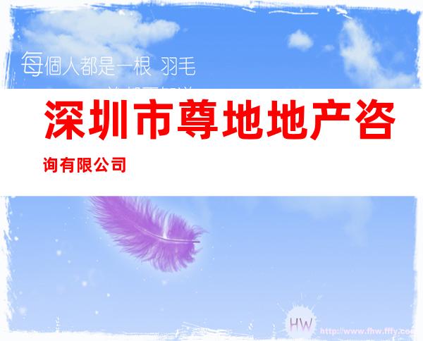深圳市尊地地产咨询有限公司