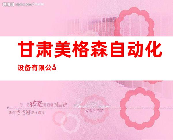甘肃美格森自动化设备有限公司