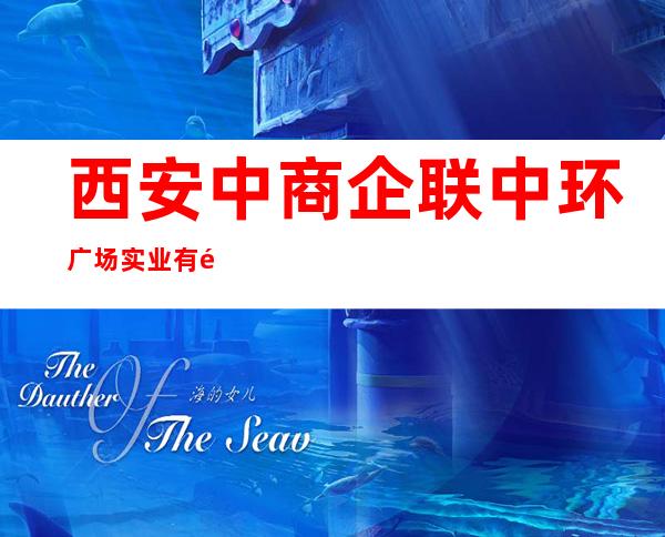 西安中商企联中环广场实业有限公司