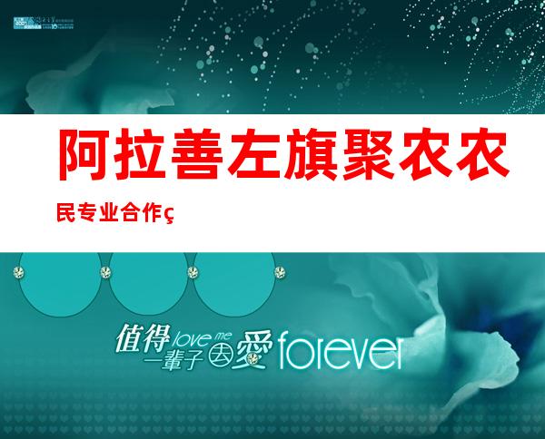 阿拉善左旗聚农农民专业合作社